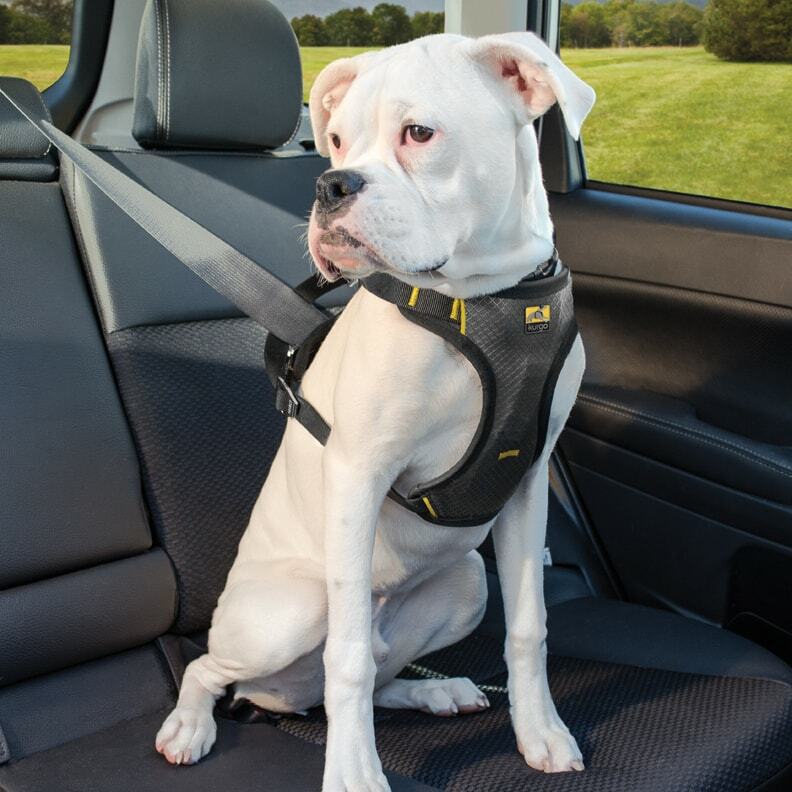 Kurgo Impact Crash Tested Seatbelt Harness - Black, XL - 6