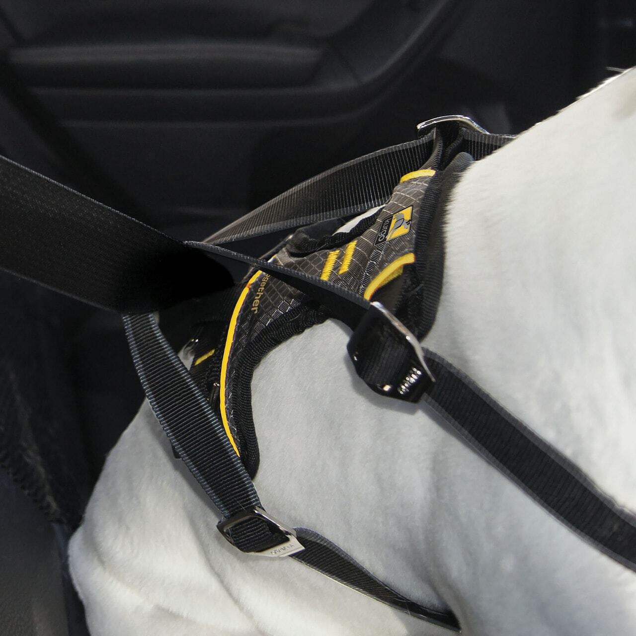 Kurgo Impact Crash Tested Seatbelt Harness - Black, XL