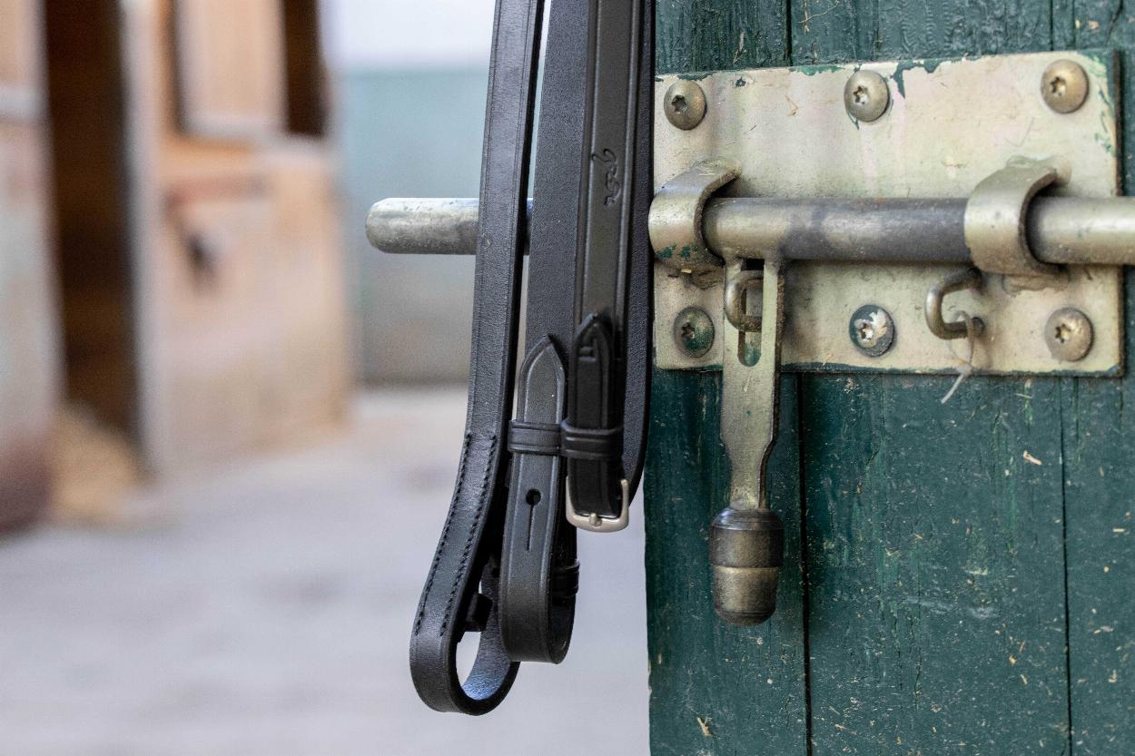 Penelope Daily Träns Svart