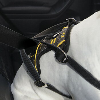 Kurgo Impact Crash Tested Seatbelt Harness - Black, S