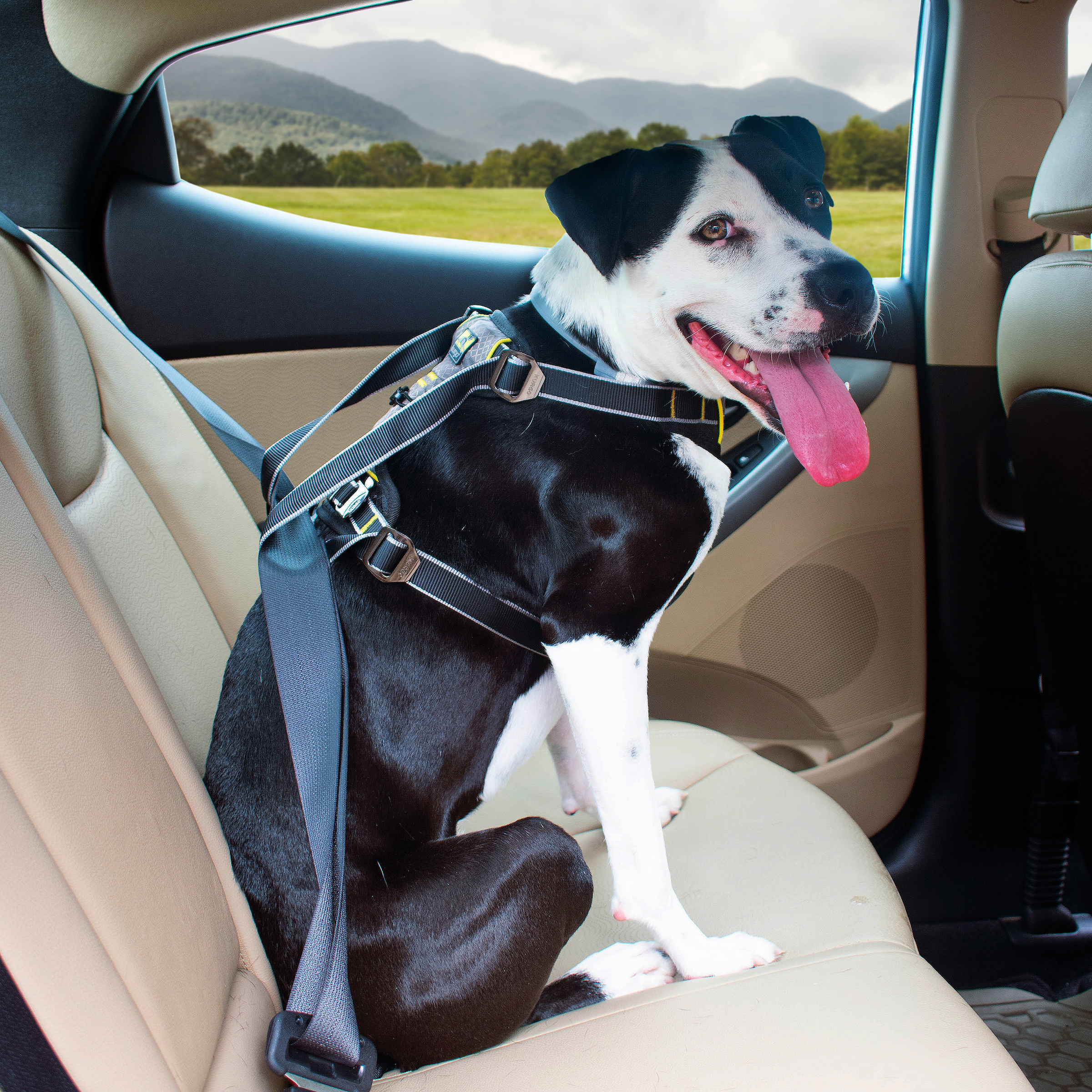 Kurgo Impact Crash Tested Seatbelt Harness - Black, S - 4