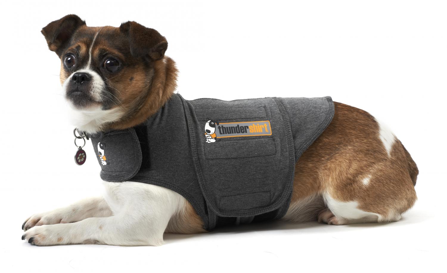 Thundershirt Dog, M - 3