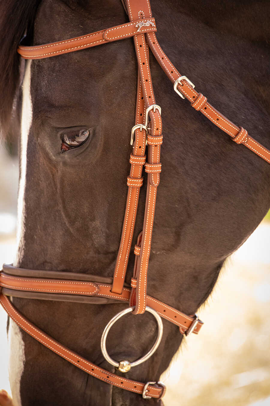 Penelope Elegance Träns Cognac - 12