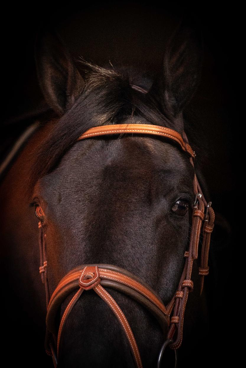 Penelope Elegance Träns Cognac