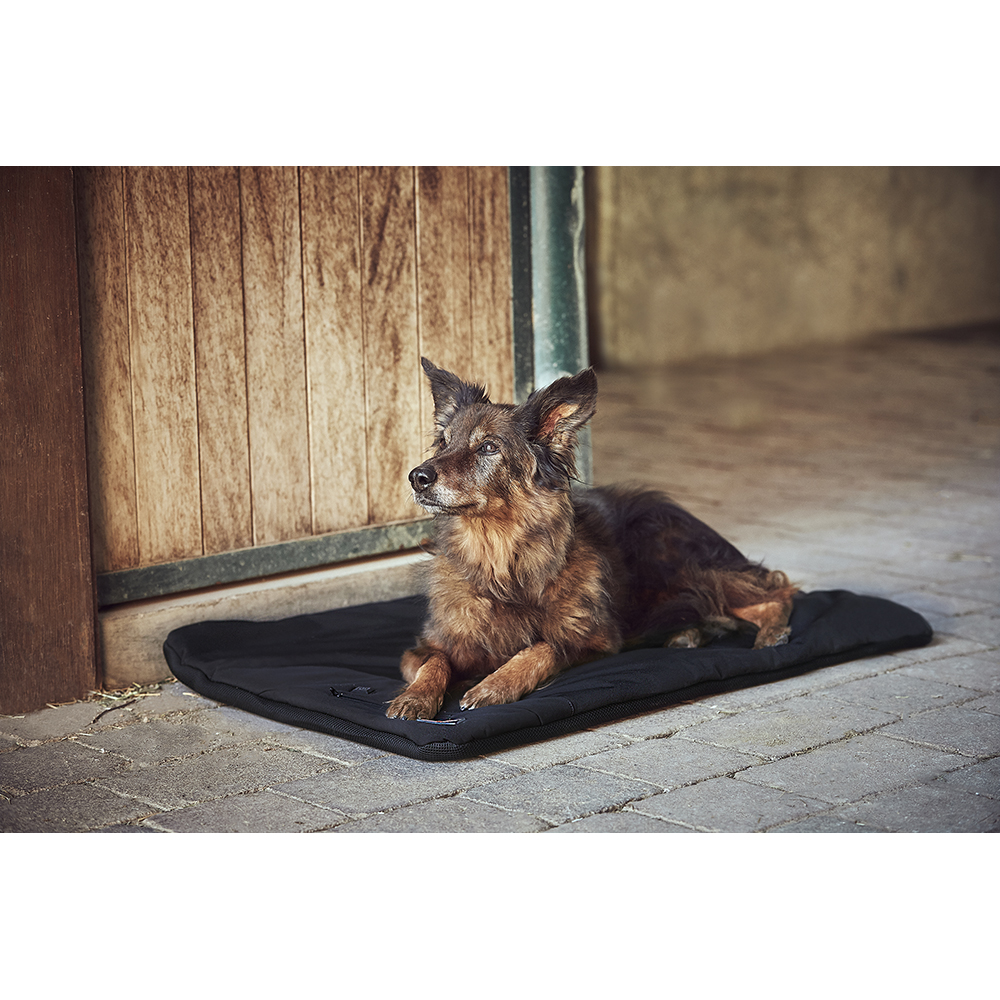 CATAGO FIR-Tech Pro dog pillow black 90x60 - 3