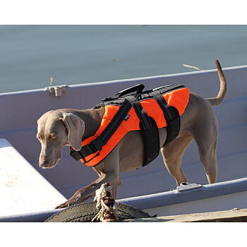 Rukka Safety Lifejacket Dog - Orange