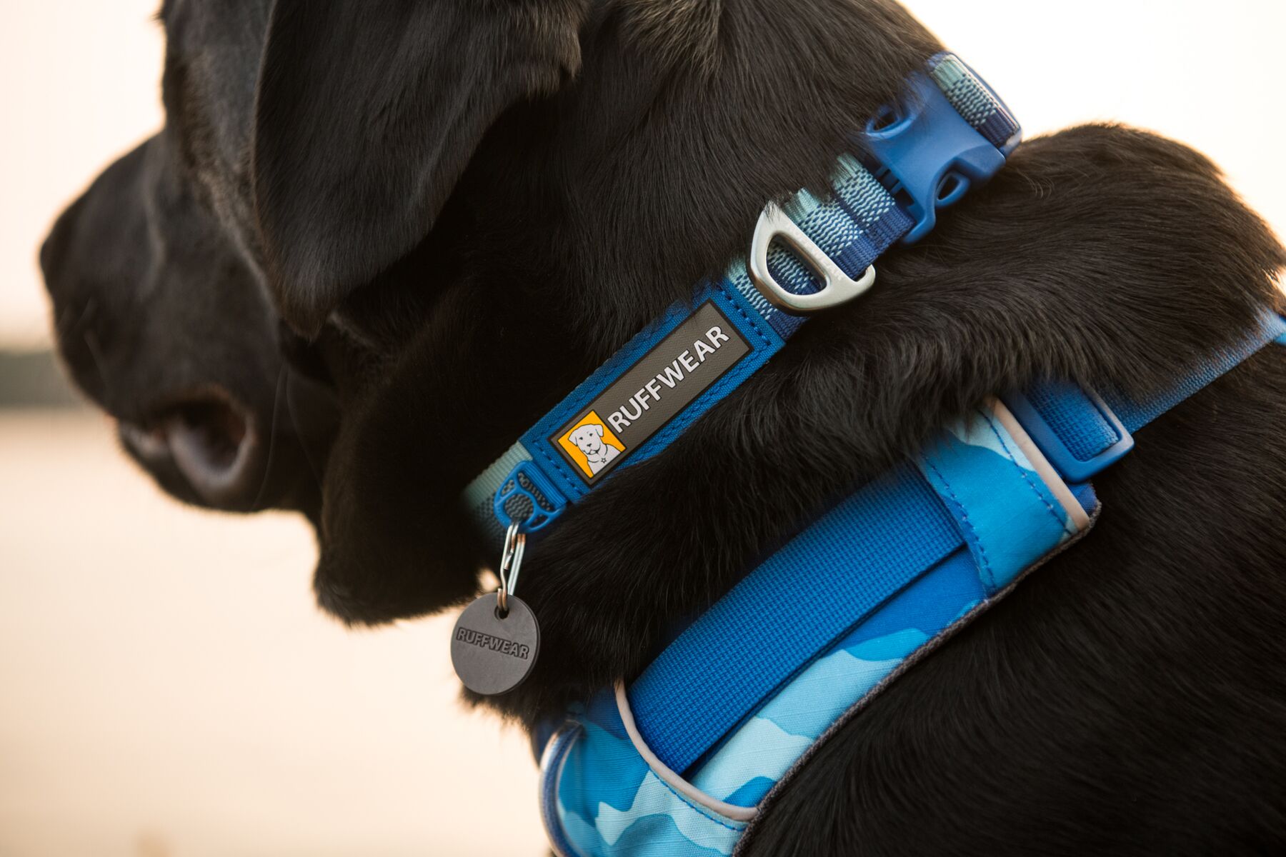 Ruffwear Front Range™ Collar - Basalt Gray