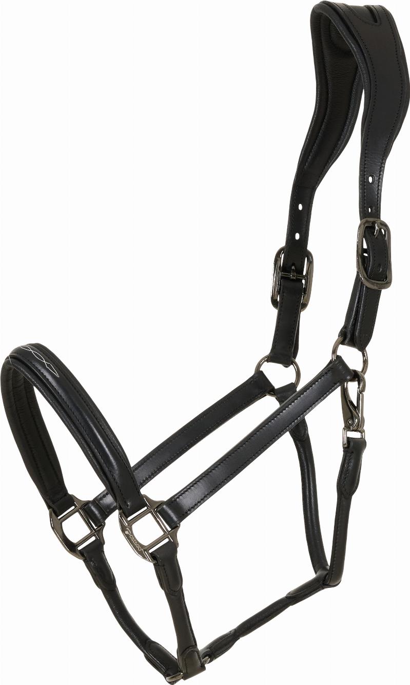 CATAGO Novi 25.2 Grimma - Svart (Pony)