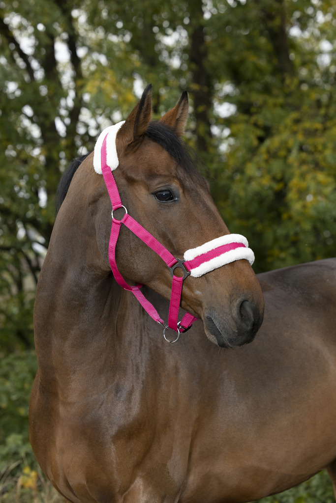 NORTON 'Comfort' Grimma Raspberry, Silver, Shetland