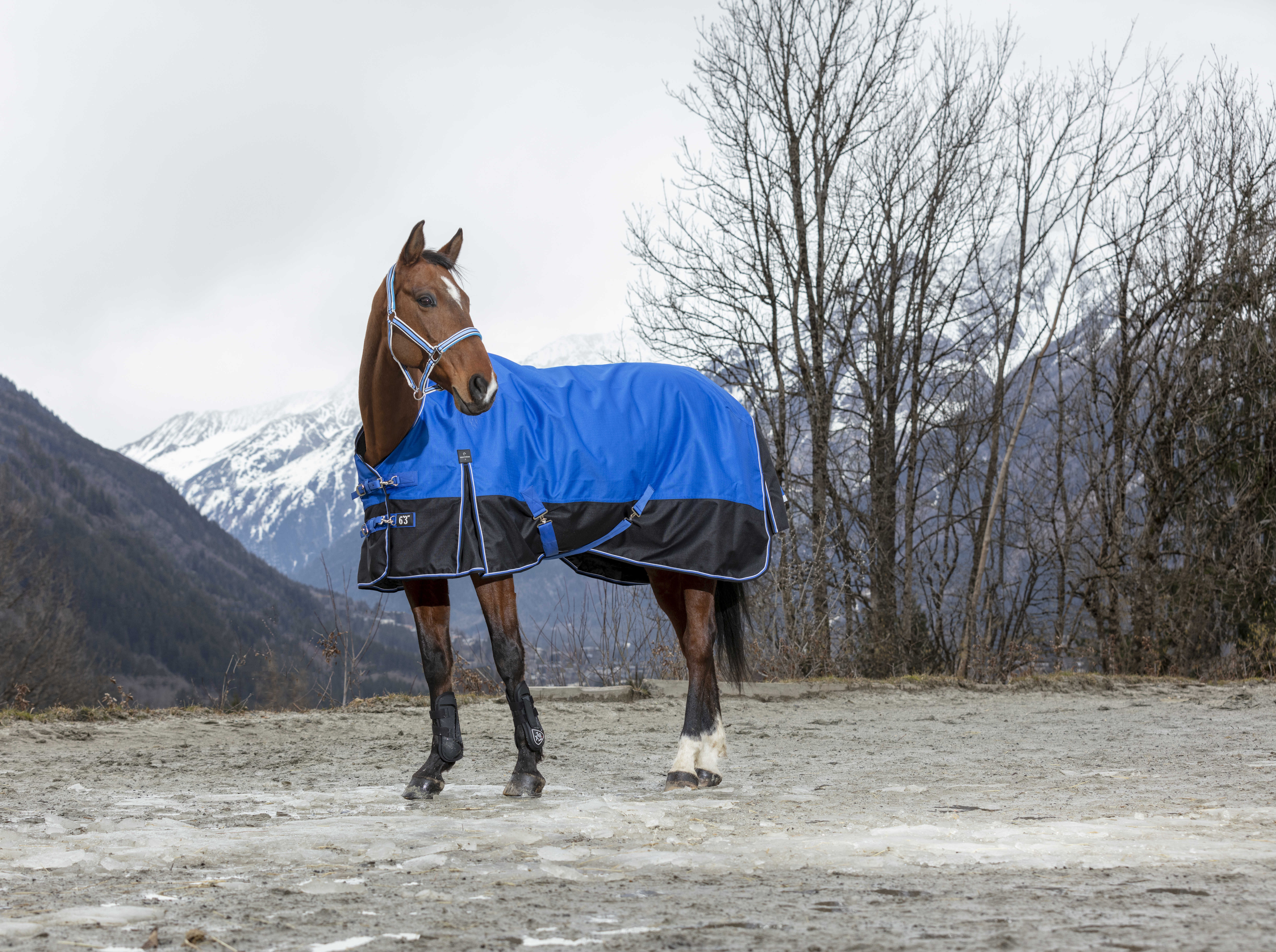 Equitheme Tyrex Aisance 1200 D High Neck Turnout Rug with Half Neck, 300 g Royal blue, 5'6 - 120 cm - 3