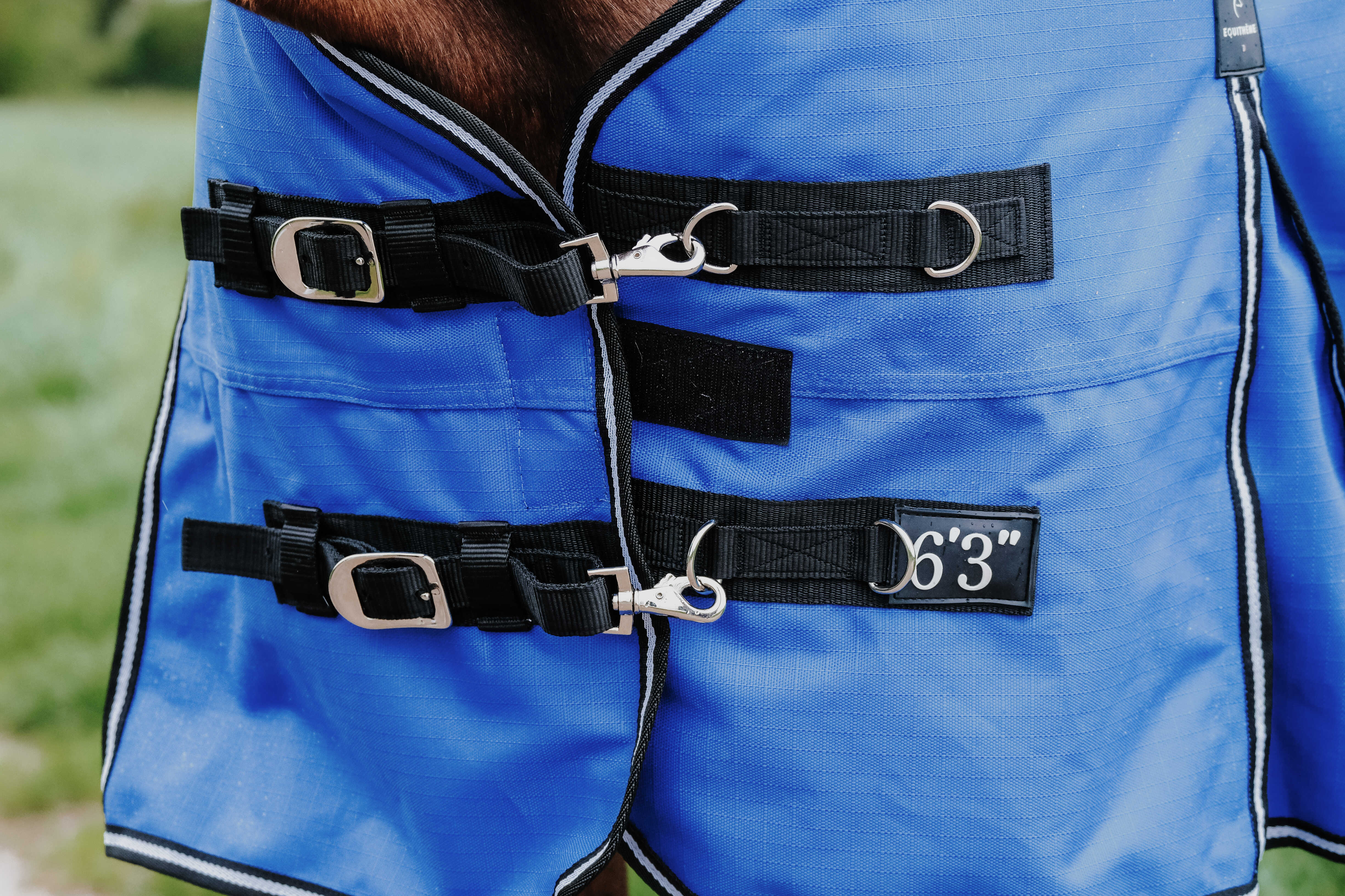 Equitheme Tyrex Aisance 1200 D High Neck Turnout Rug with Half Neck, 300 g Royal blue, 5'6 - 120 cm - 8