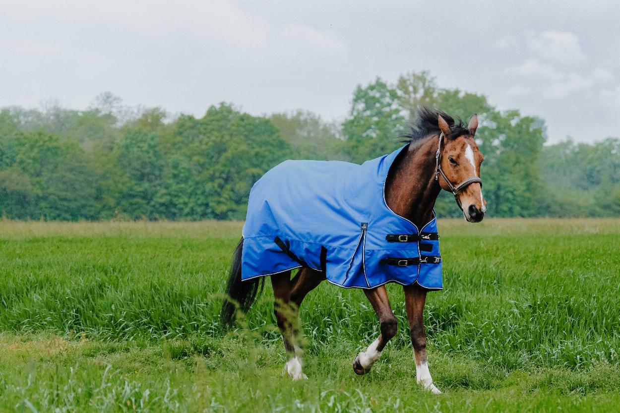 Equitheme Tyrex Aisance 1200 D High Neck Turnout Rug with Half Neck, 300 g Royal blue, 5'6 - 120 cm - 5