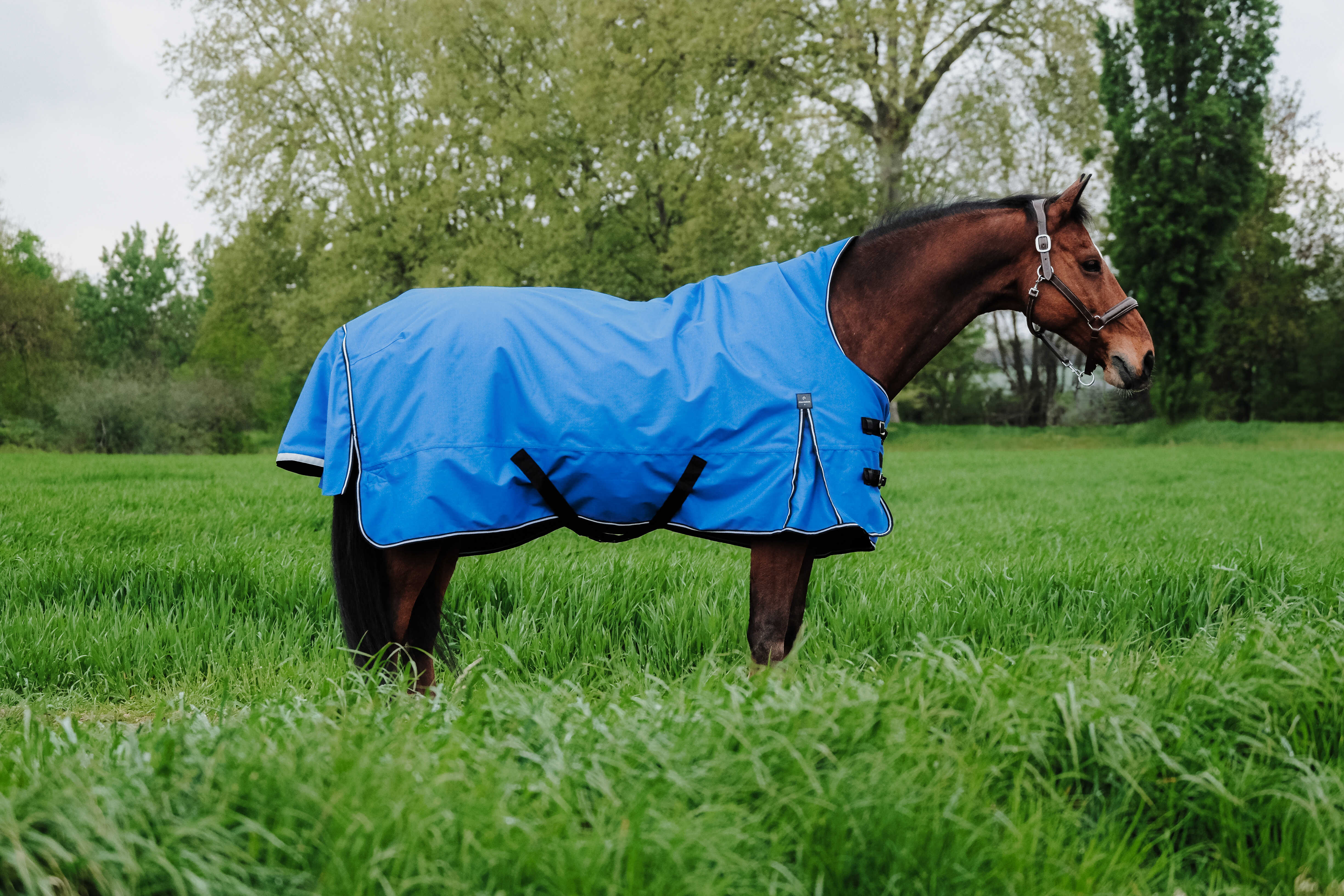Equitheme Tyrex Aisance 1200 D High Neck Turnout Rug with Half Neck, 300 g Royal blue, 5'6 - 120 cm - 2