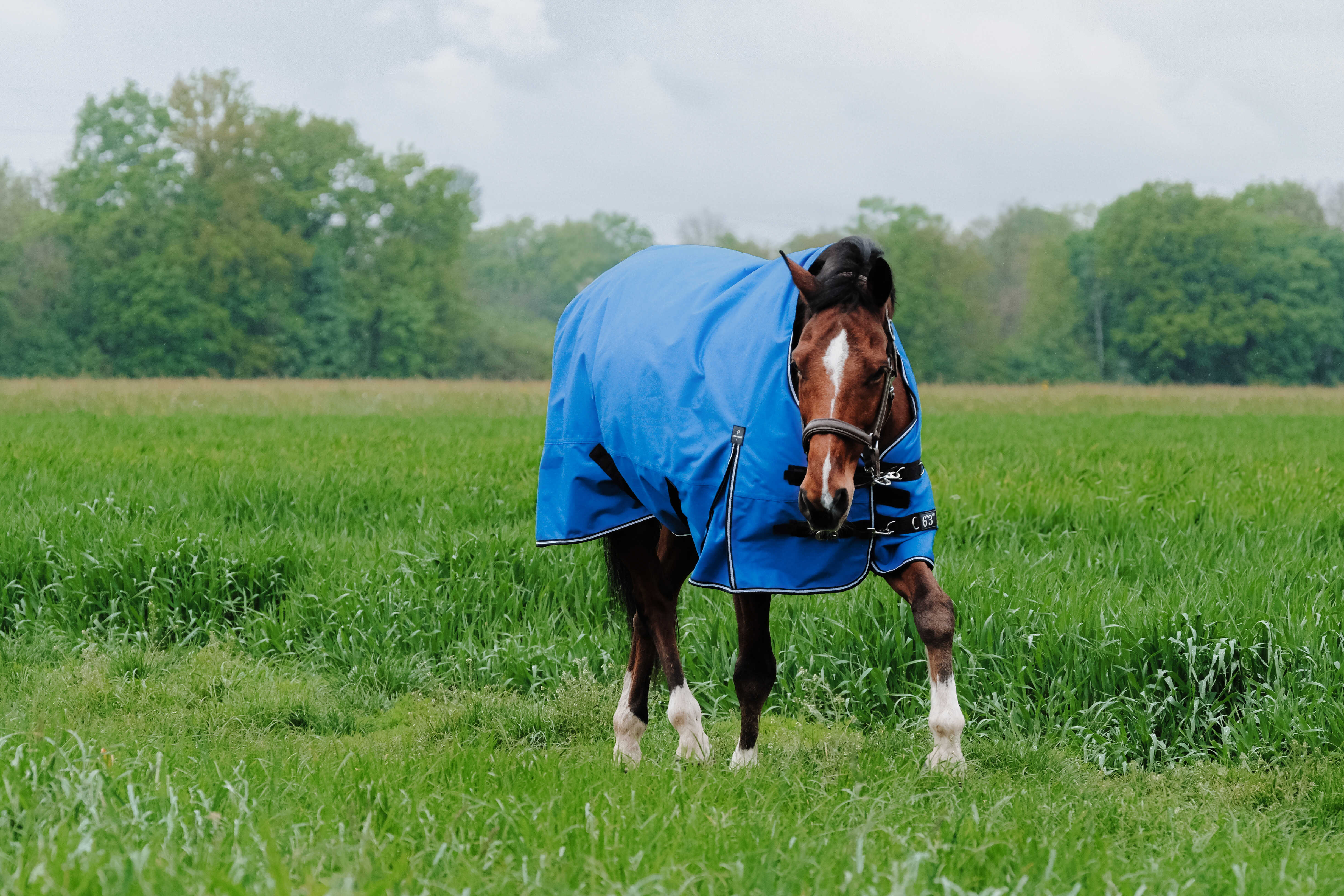 Equitheme Tyrex Aisance 1200 D High Neck Turnout Rug with Half Neck, 300 g Royal blue, 5'6 - 120 cm - 10