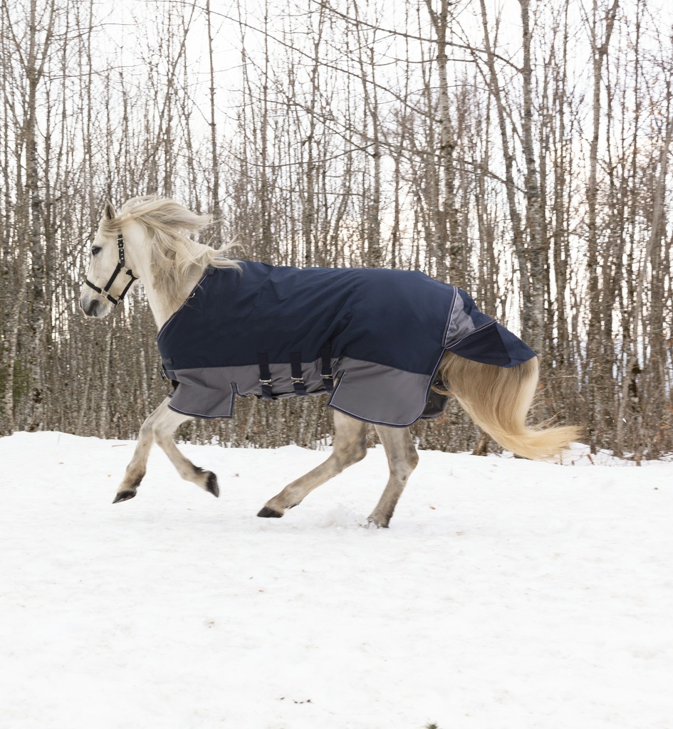EQUITHEME TYREX 600 D Turnout Rug With Belly Belt Navy/Grey 300 g - 2