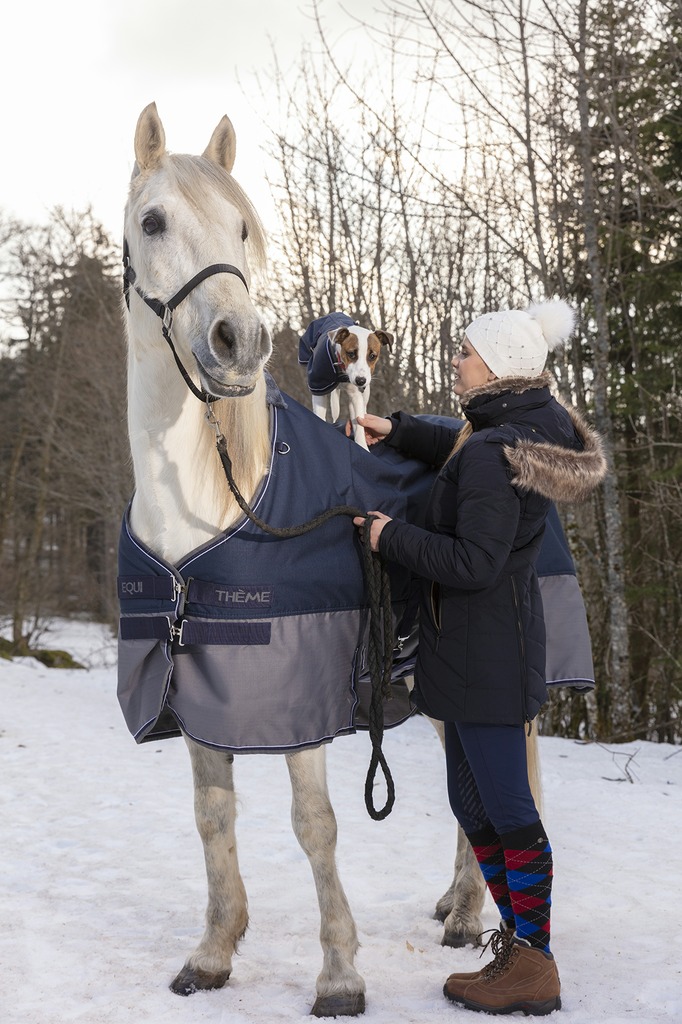 EQUITHEME TYREX 600 D Turnout Rug With Belly Belt Navy/Grey 300 g - 4