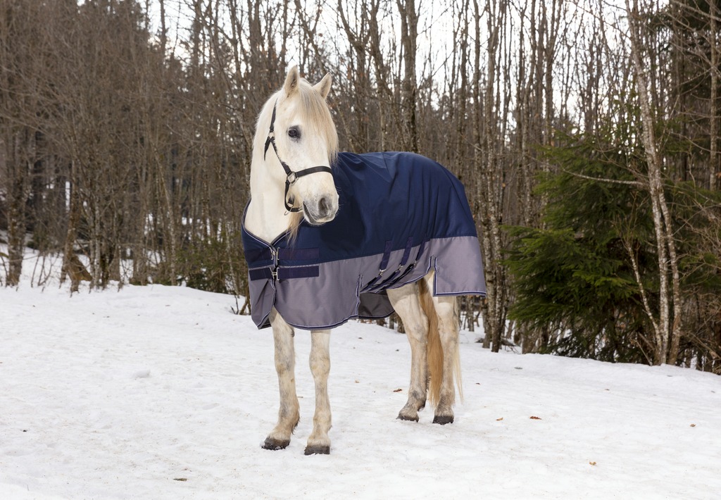 EQUITHEME TYREX 600 D Turnout Rug With Belly Belt Navy/Grey 300 g - 3