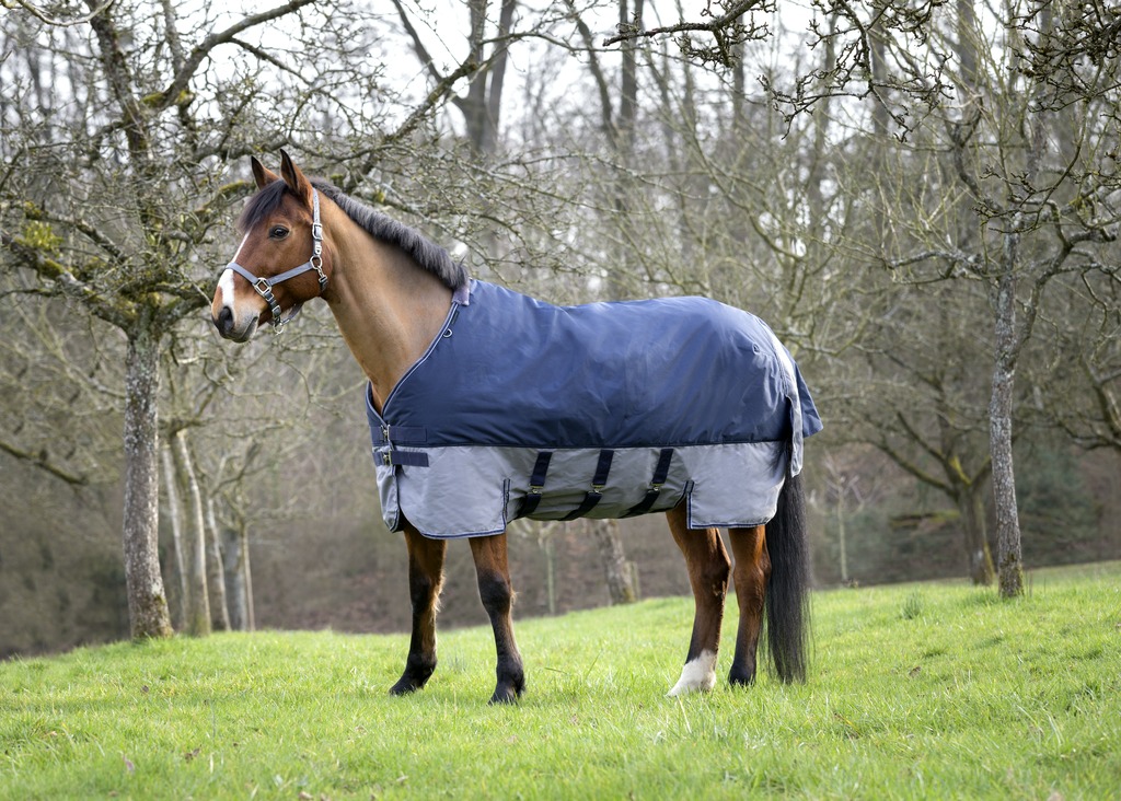 EQUITHEME TYREX 600 D Turnout Rug With Belly Belt Navy/Grey 300 g