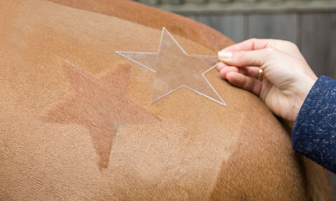 Kerbl Shearing Template - Horse - 3