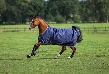 Bucas Freedom Turnout 300g Horse Rug - Navy/Silver
