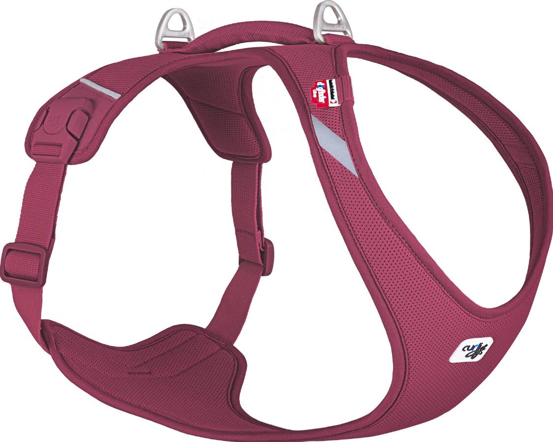 Curli Belka Comfort V2 Hundsele - Ruby (XL)