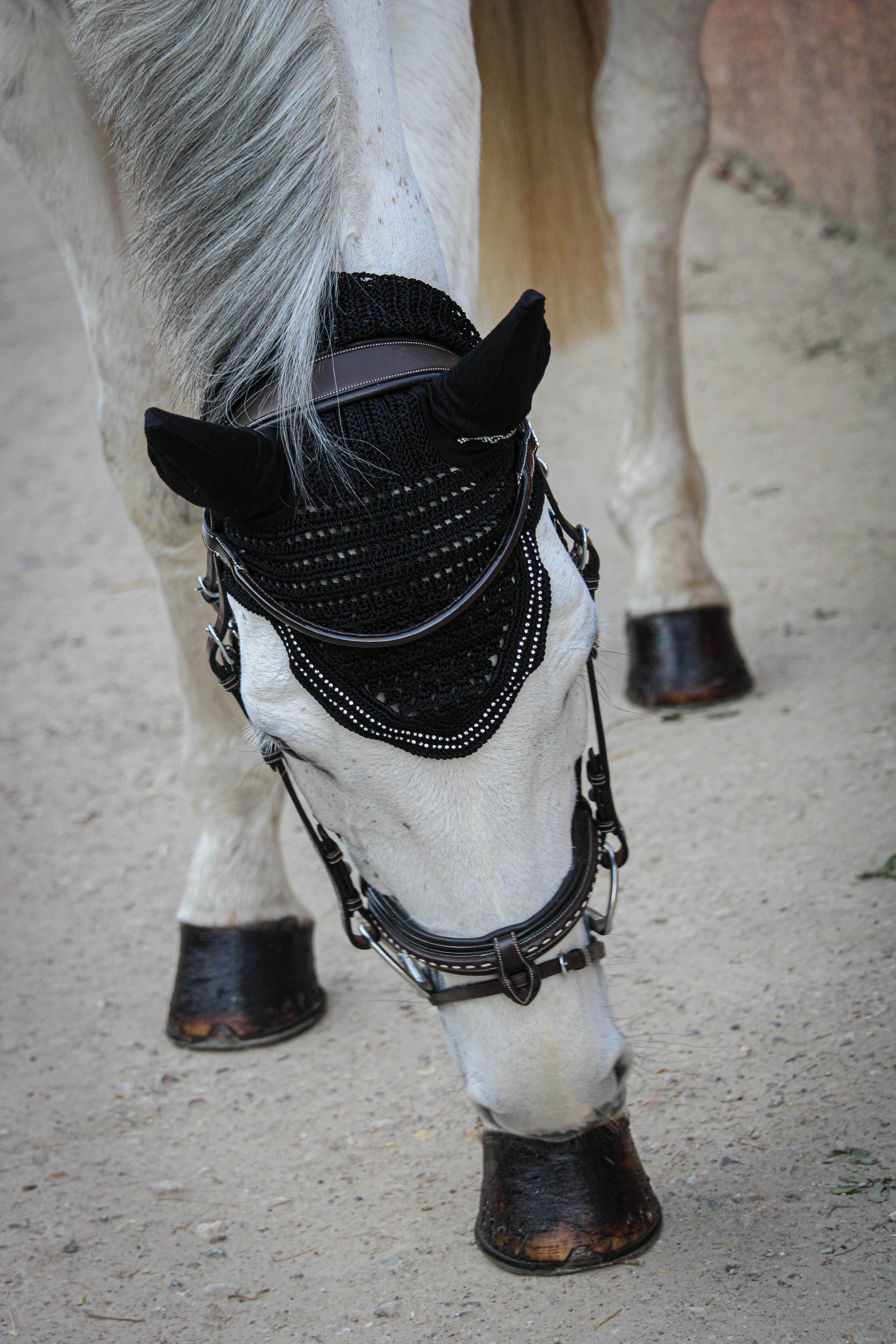 Penelope New Strass Korvahuppu Musta - 6