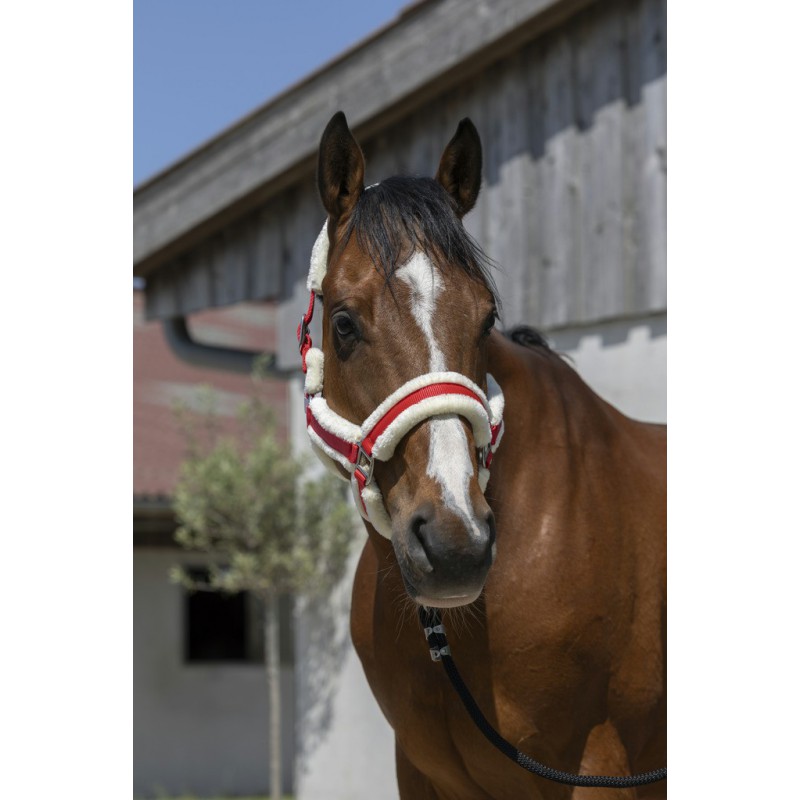 NORTON 'Cosy' Grimma Röd (Shetland)