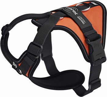 Julius-K9 Longwalk Light Y-sele - UV Orange