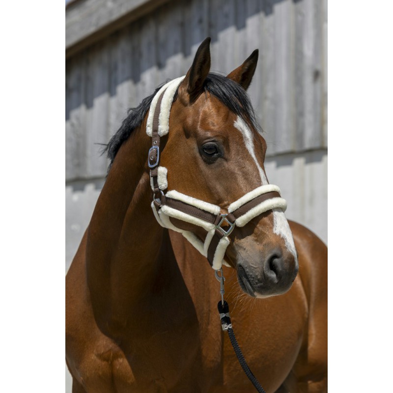 NORTON 'Cosy' Grimma Chocolate (Shetland)