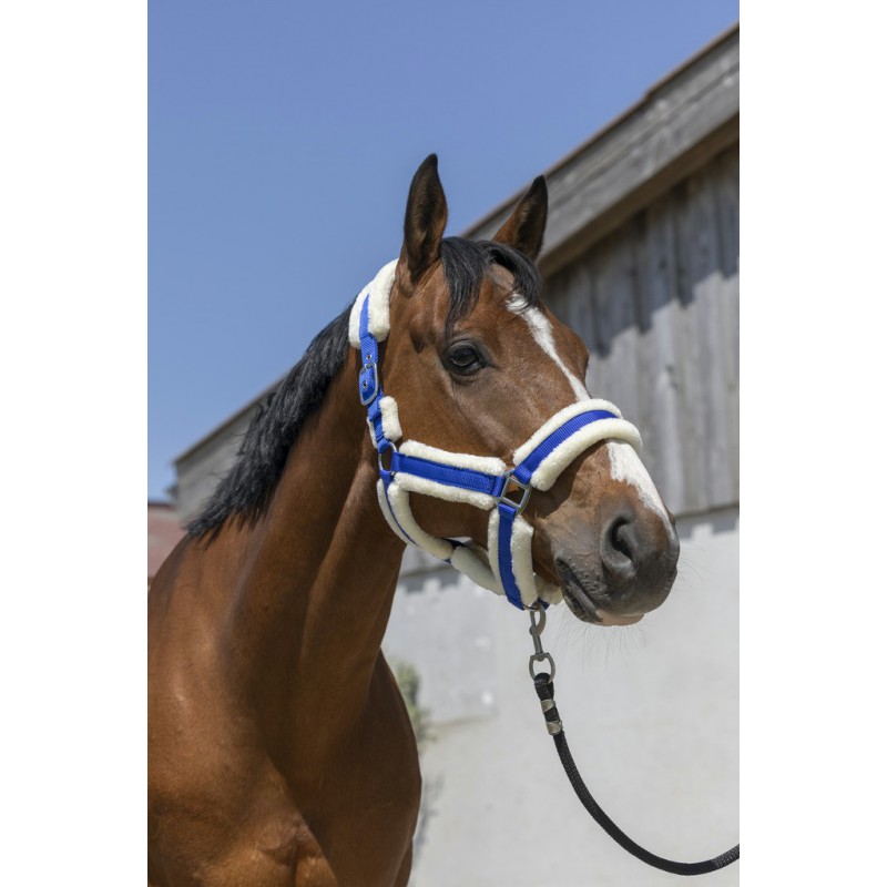 NORTON 'Cosy' Grimma Royal Blue (Shetland)