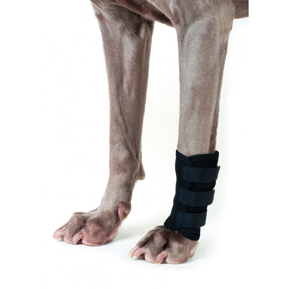 Back on Track Terapeutiska Hundbenskydd (S)