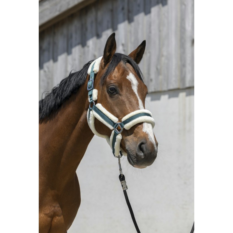 NORTON 'Cosy' Grimma Mörkgrön (Shetland)