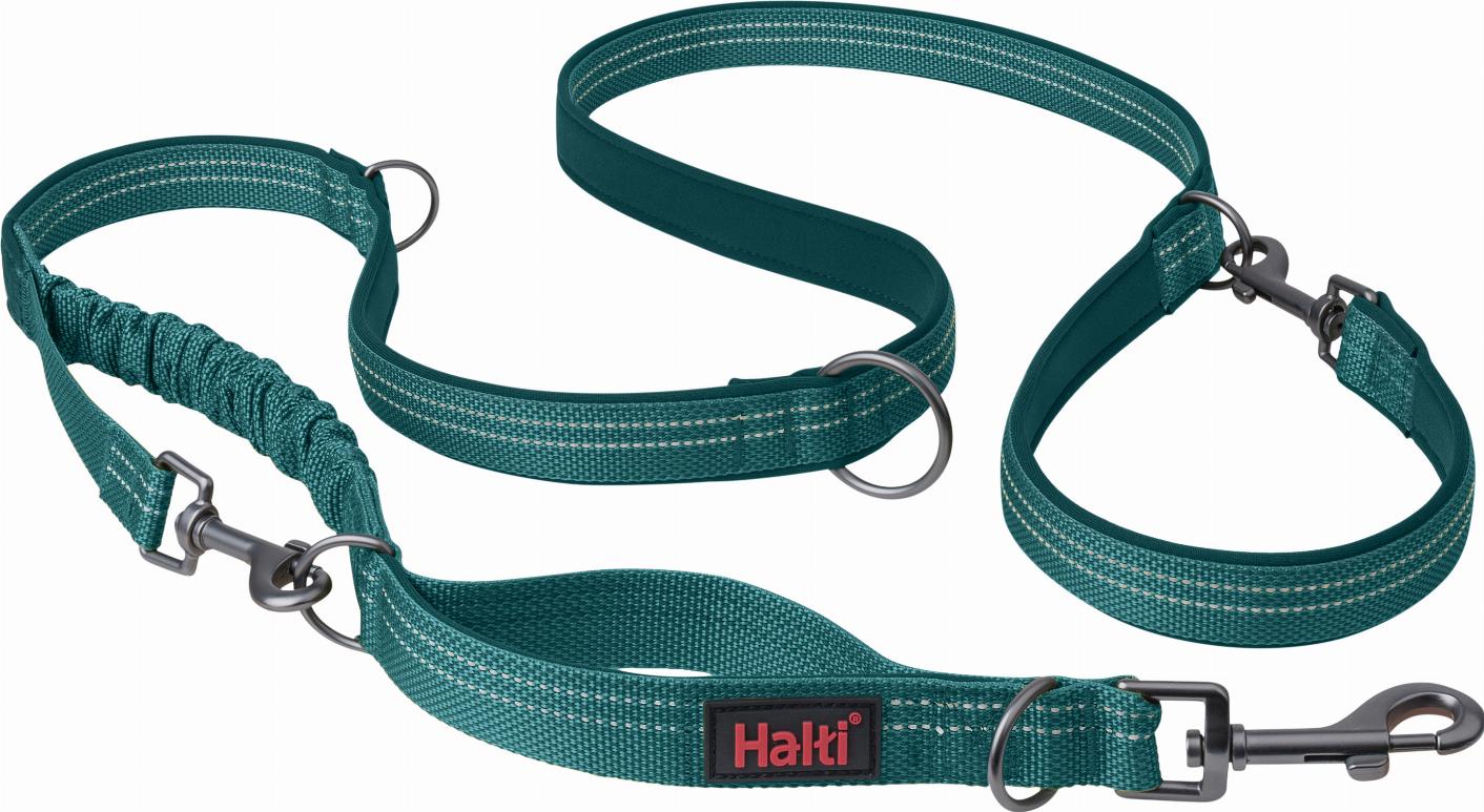 Halti Anatomy Multi Dog Leash - Teal