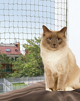 Trixie- Balcony Net Olive Green m wire