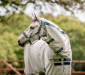 Horseware Signature Field Safe Headcollar - Navy