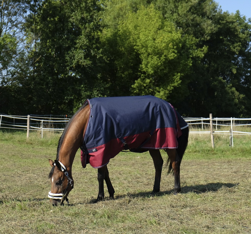 EQUITHEME TYREX 1200 D Turnout Hästutetäcke Navy/Burgundy 50 g