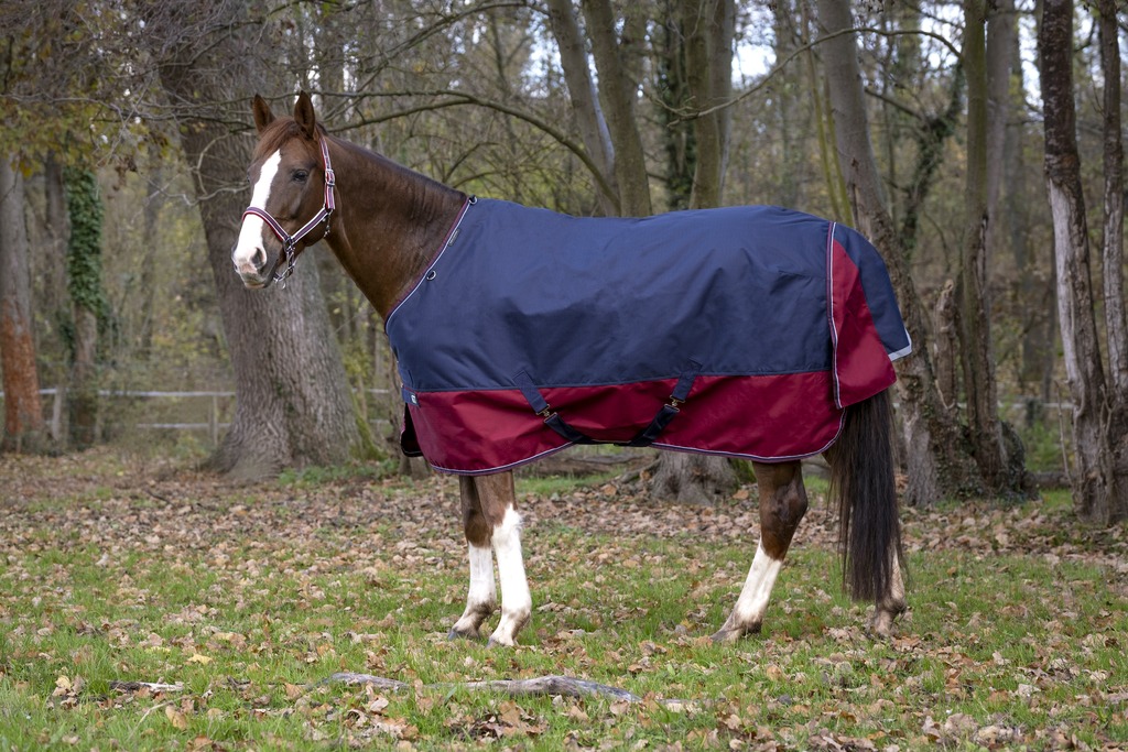 EQUITHEME TYREX 1200 D Turnout Hästutetäcke Navy/Burgundy 50 g - 2