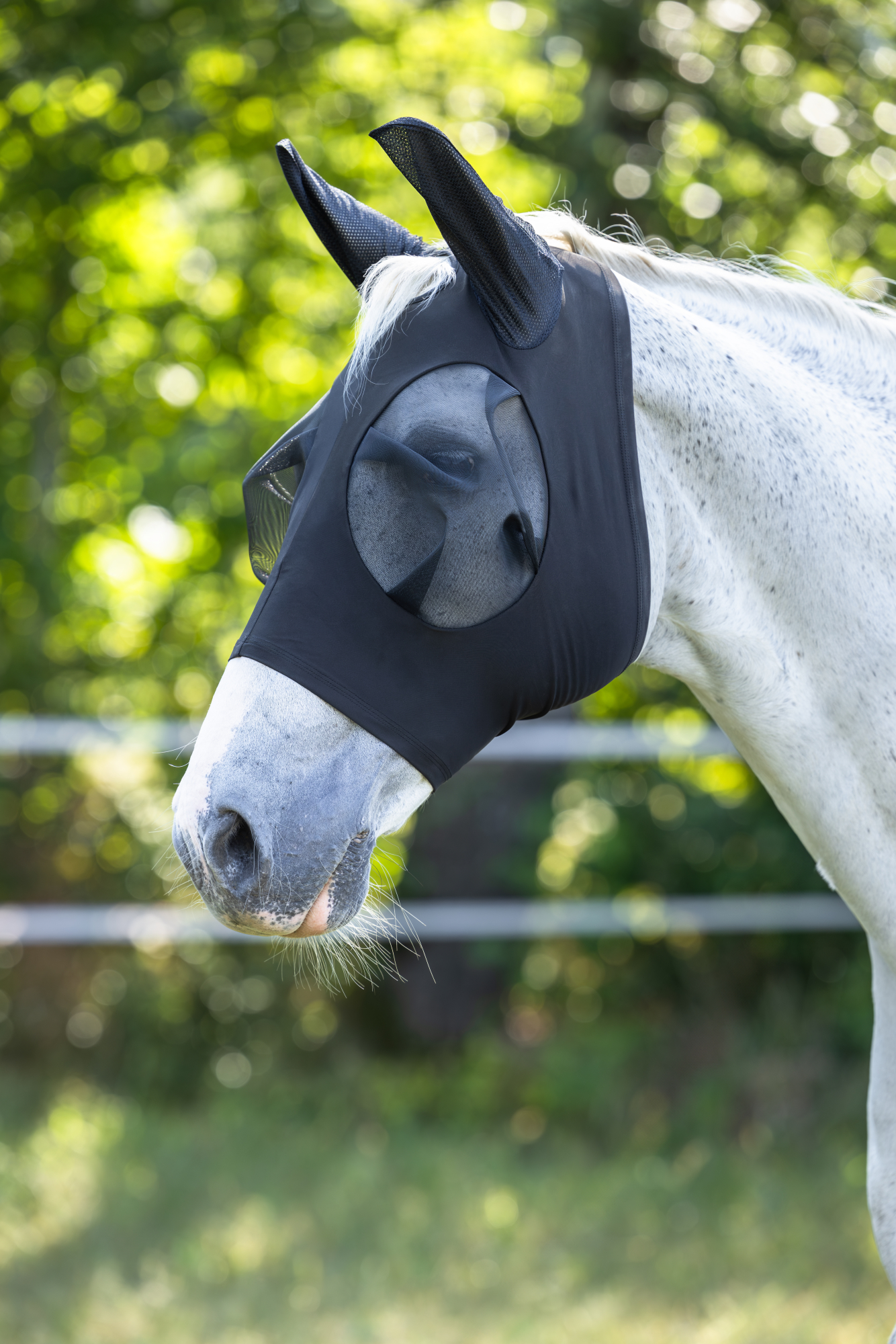 Covalliero Fly Mask FinoStretch, black