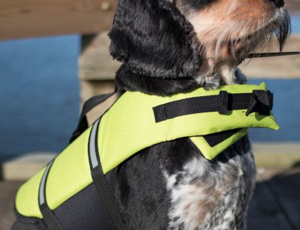 Dogman-pelastusliivi Peipus – Vihreä - 3