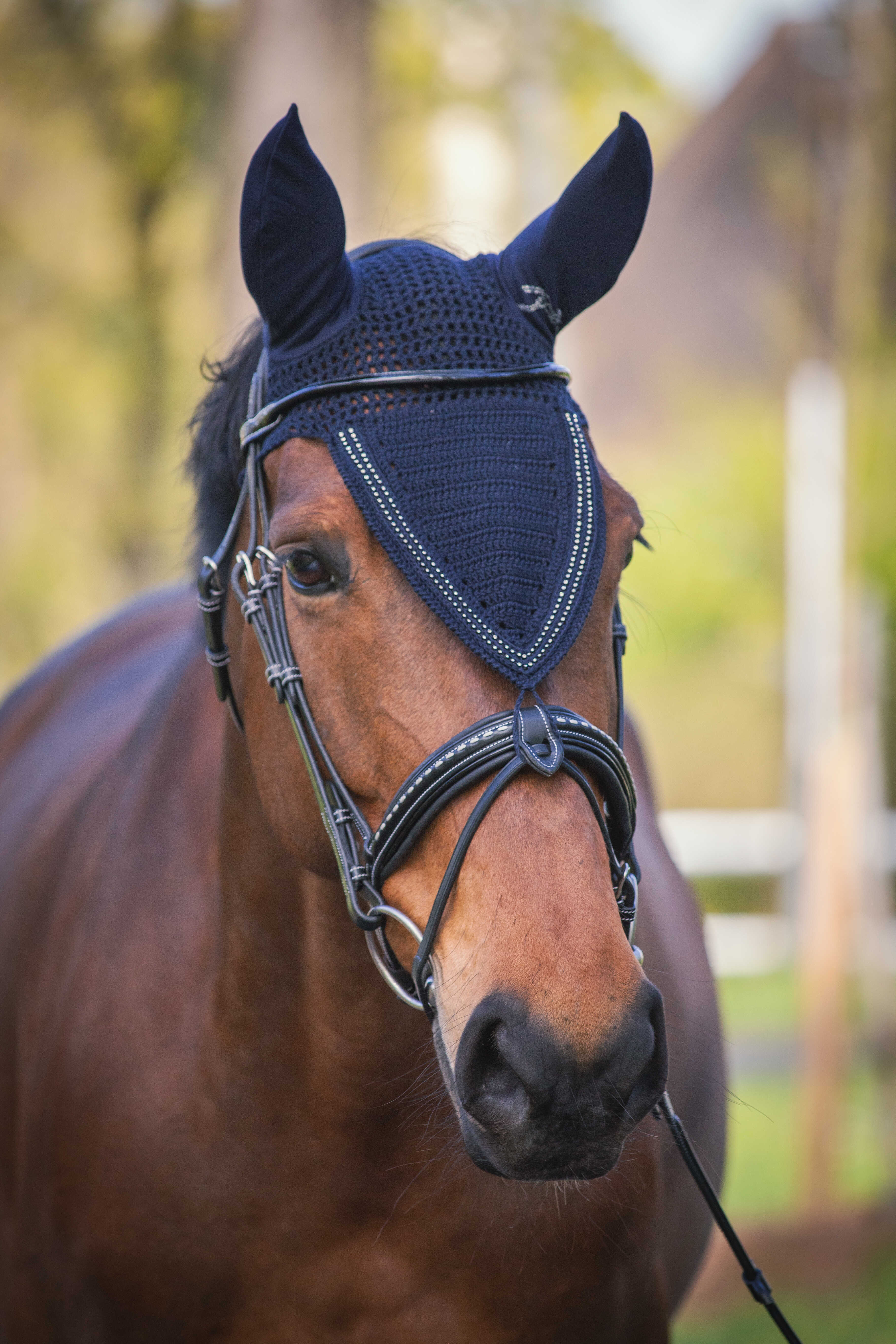 Penelope Strass Long Fly Veil Navy blue - 2