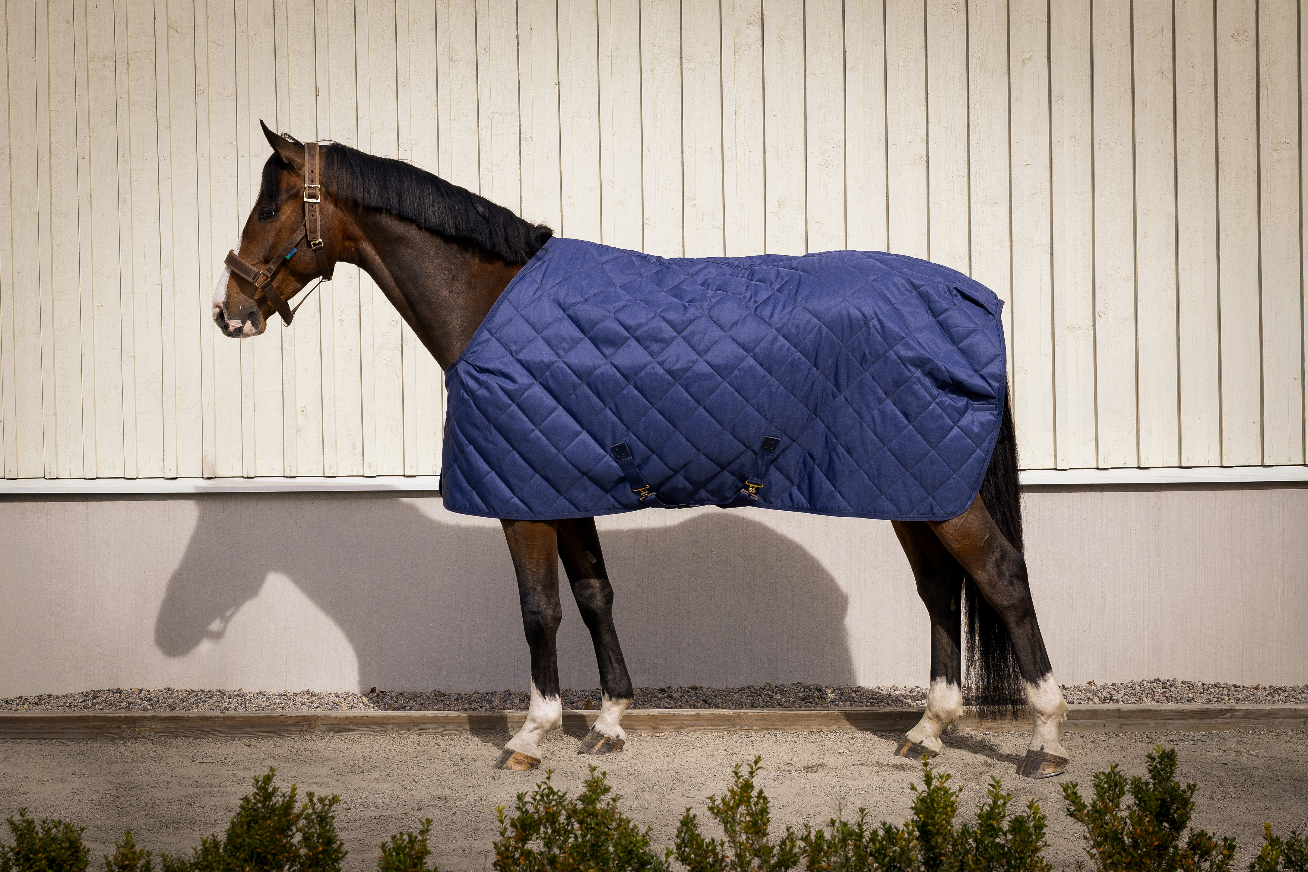Bucas Cosy Stalltäcke - Navy , 155 - 2
