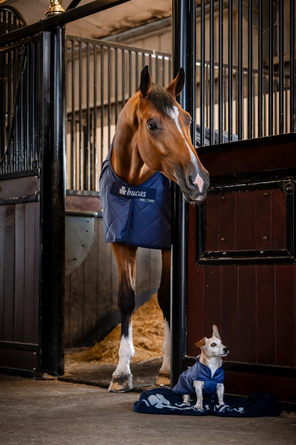 Bucas Cosy Stable Rug - Navy, 145
