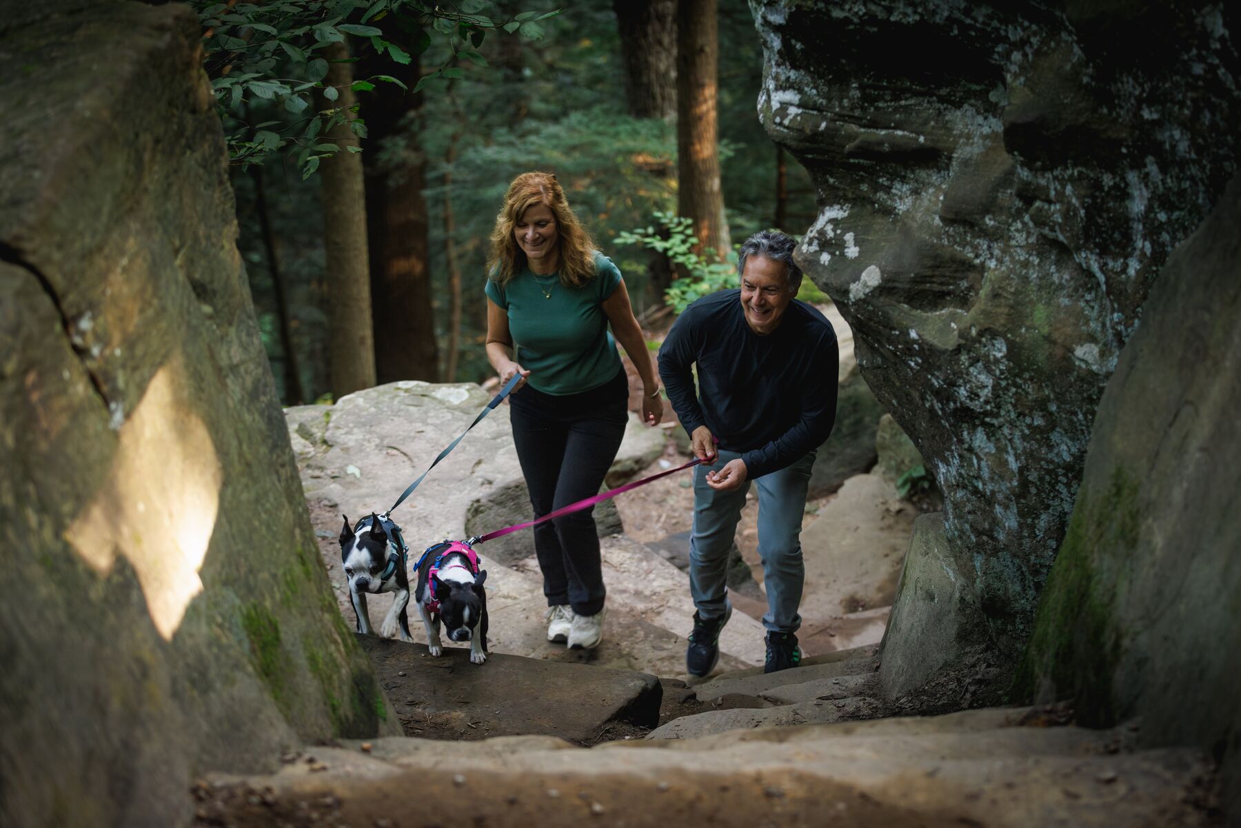 Ruffwear Hi & Light™ Harness - Alpenglow Pink 
