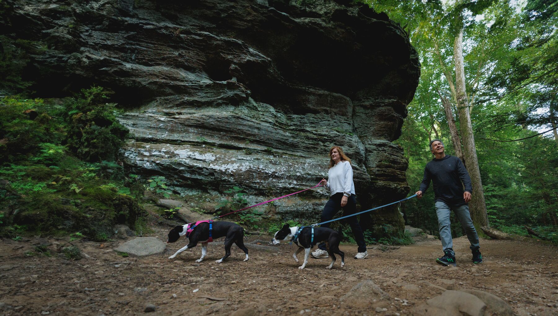Ruffwear Hi & Light™ Harness - Alpenglow Pink 