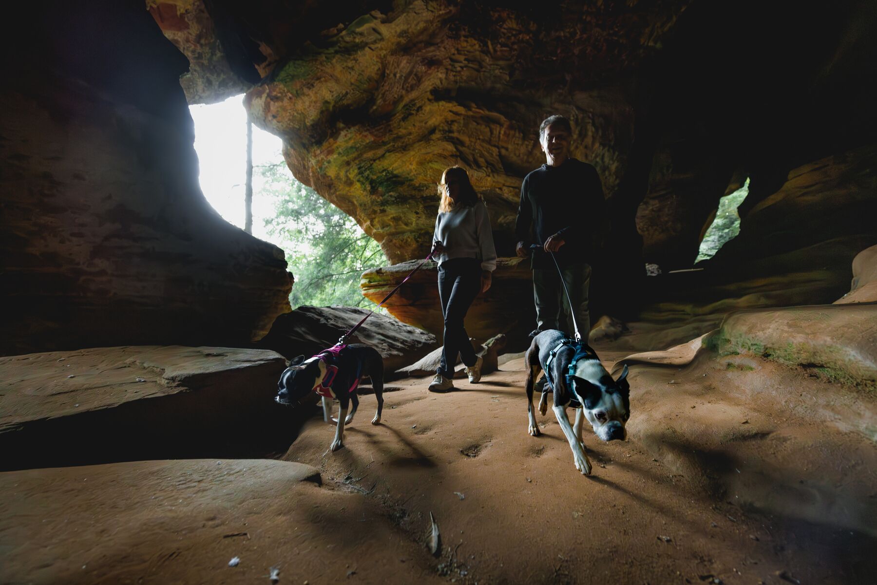 Ruffwear Hi & Light™ Harness - Alpenglow Pink 