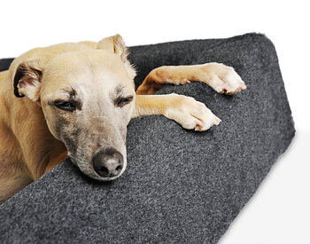 Bia Bed Pilé Cover -  Grey