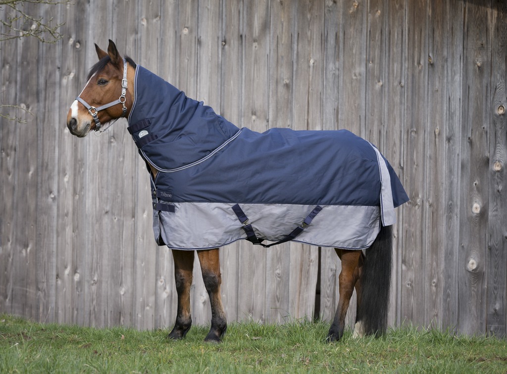 EQUITHÈME Tyrex 600 D Turnout Täcke Navy/Grå 300 g (4'0 - 80 cm)