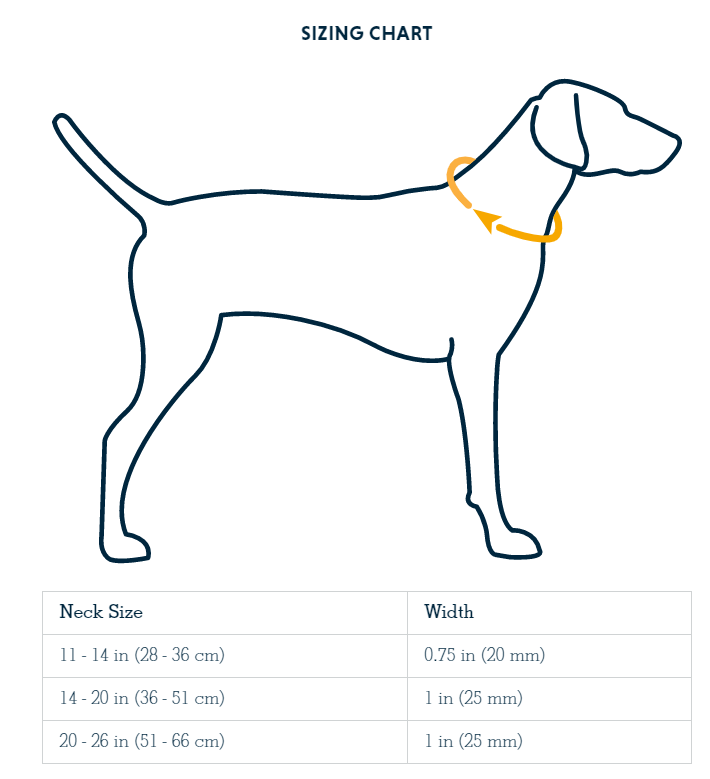 Ruffwear Hi & Light ™ Collar - Basalt Gray 