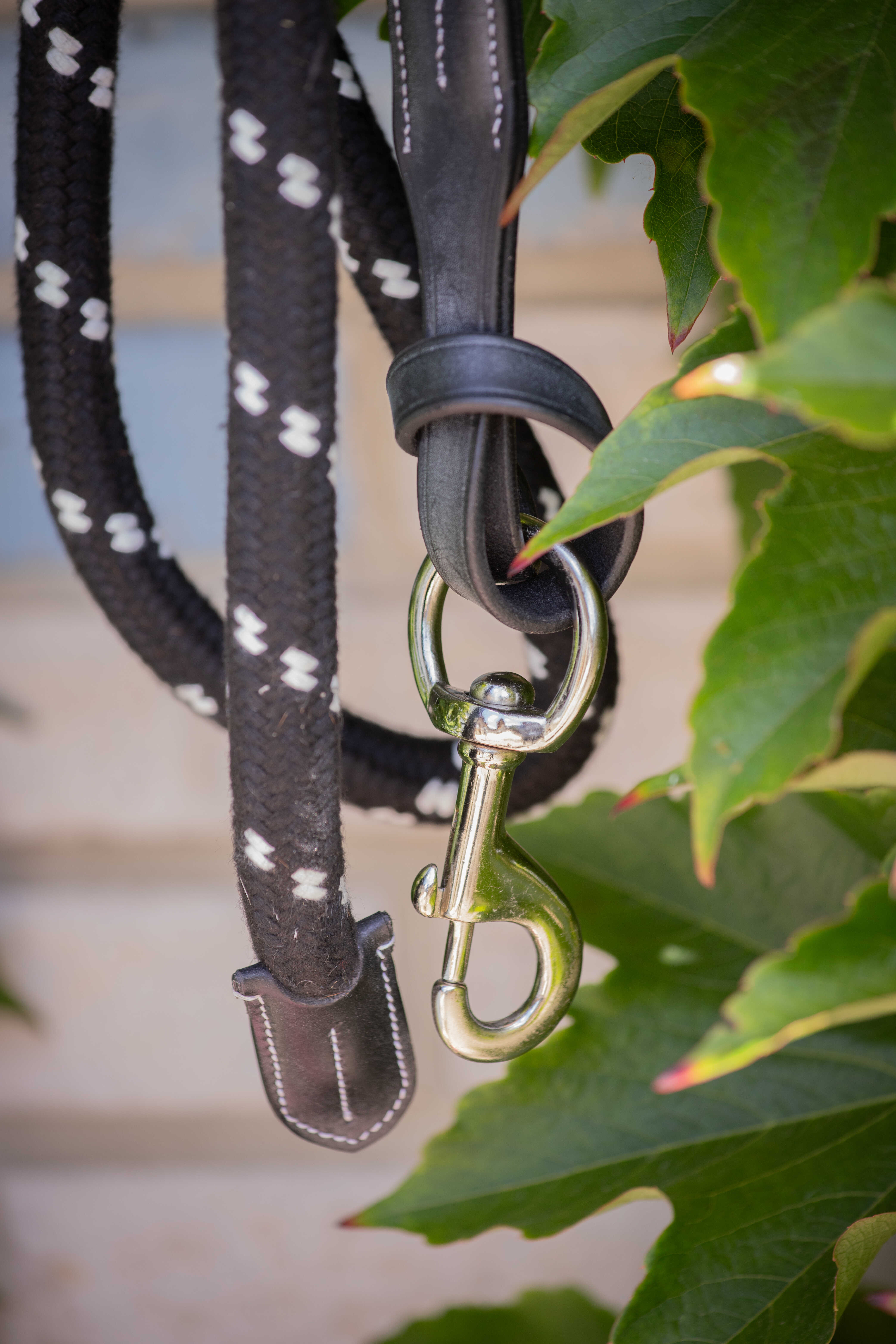 Pénélope Lunging Line with Leather Details Black - 2