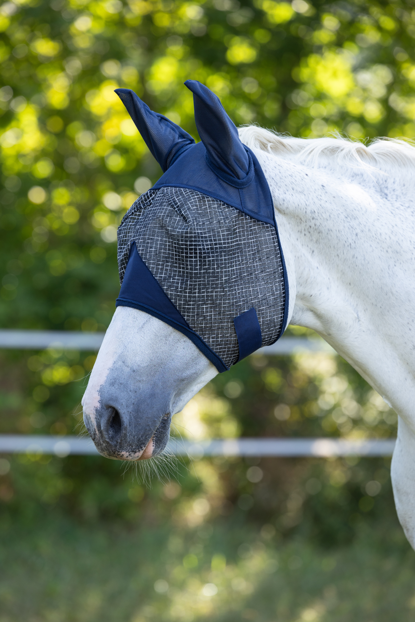 Covalliero Fly mask with ear and UV protection, navy - 2